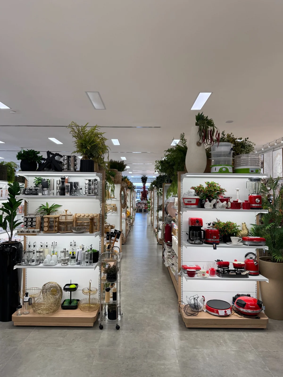 Quanto Custa Comprar Eletroportáteis para Casa?
